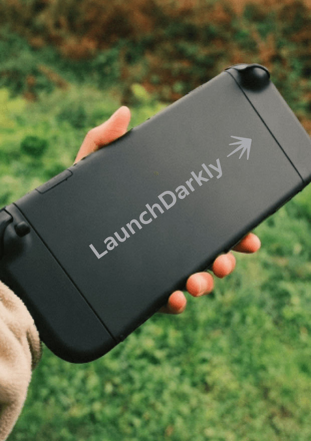 Handheld Console
