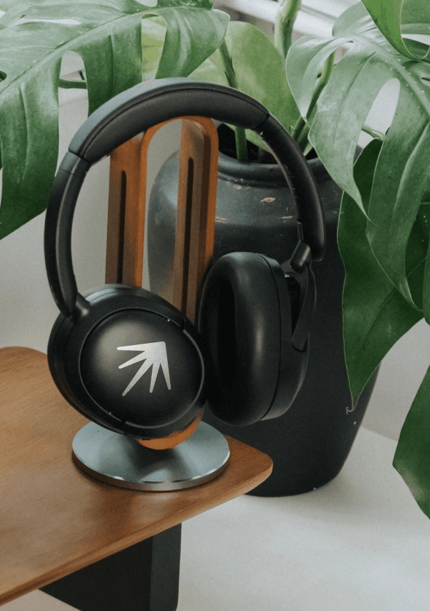 Wireless Headphones